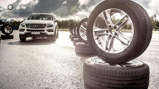 шина