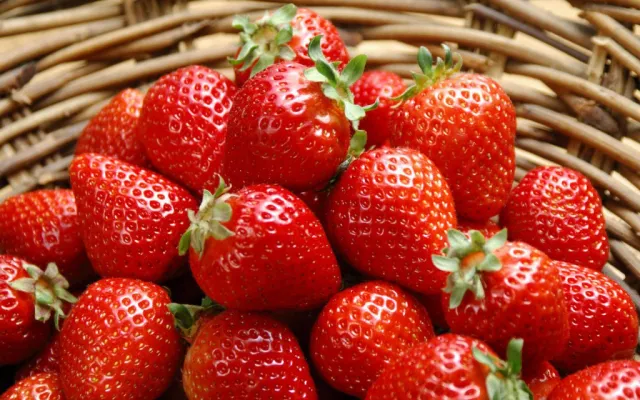 Топ-3 корисних продуктів, які збережуть молодість обличчя — фото 3