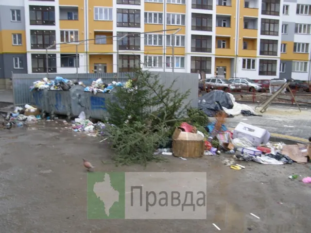 Франківські смітники починають заповнюватися ялинками — фото 1