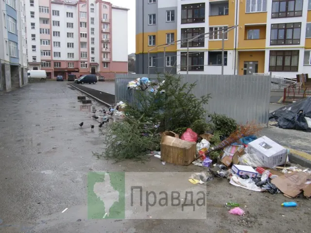 Франківські смітники починають заповнюватися ялинками — фото 2