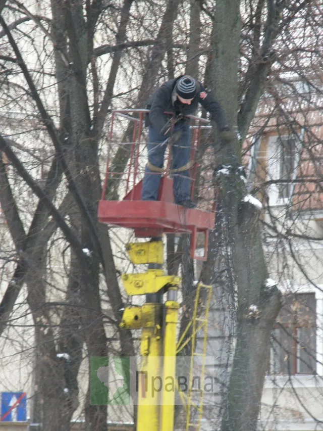 Дерева у франківському середмісті позбулися ілюмінації (Фоторепортаж) — фото 1