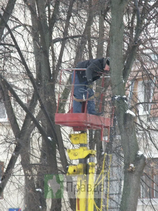 Дерева у франківському середмісті позбулися ілюмінації (Фоторепортаж) — фото 2