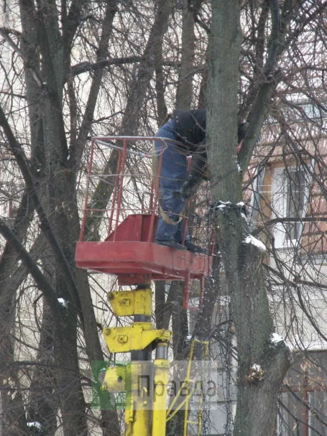 Дерева у франківському середмісті позбулися ілюмінації (Фоторепортаж) — фото 3