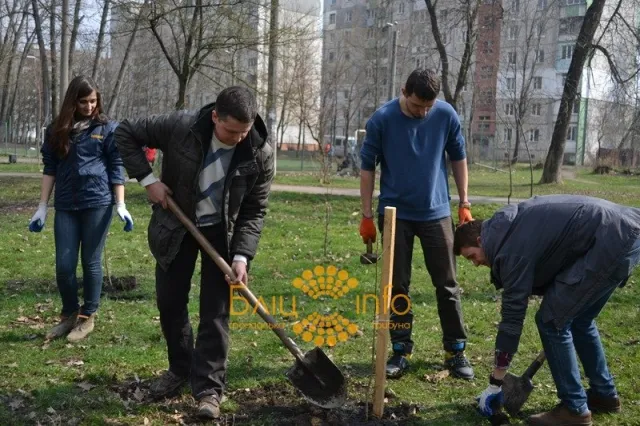 Сьогодні в Івано-Франківську близько 20 активістів висадили дерева пам’ять про Героїв Небесної Сотні (Фоторепортаж) — фото 1