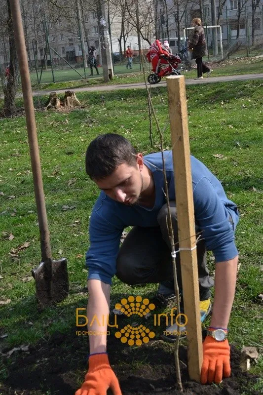 Сьогодні в Івано-Франківську близько 20 активістів висадили дерева пам’ять про Героїв Небесної Сотні (Фоторепортаж) — фото 2