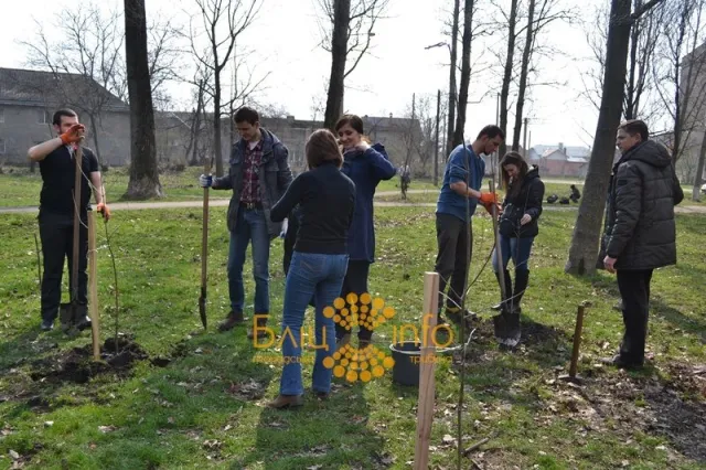Сьогодні в Івано-Франківську близько 20 активістів висадили дерева пам’ять про Героїв Небесної Сотні (Фоторепортаж) — фото 3