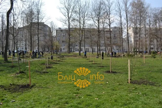 Сьогодні в Івано-Франківську близько 20 активістів висадили дерева пам’ять про Героїв Небесної Сотні (Фоторепортаж) — фото 4