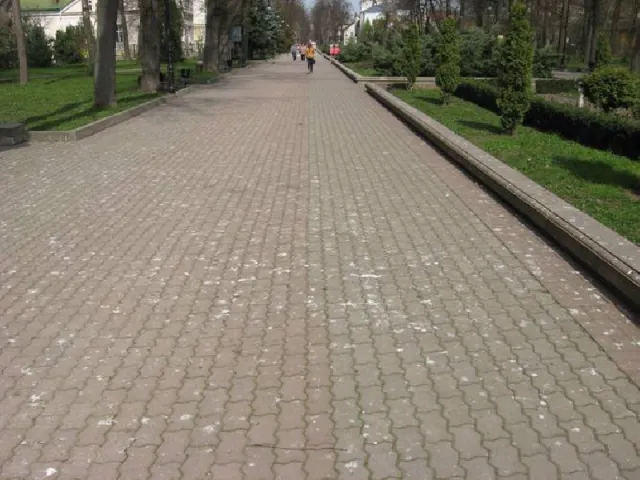 З приходом весни загострилася одвічна проблема івано-франківського міського парку (Фоторепортаж) — фото 1