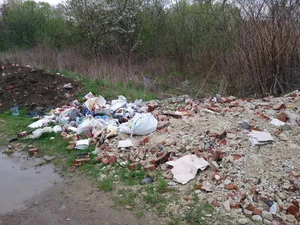 На березі Бистриці сміттєві полігони (Фоторепортаж) — фото 1