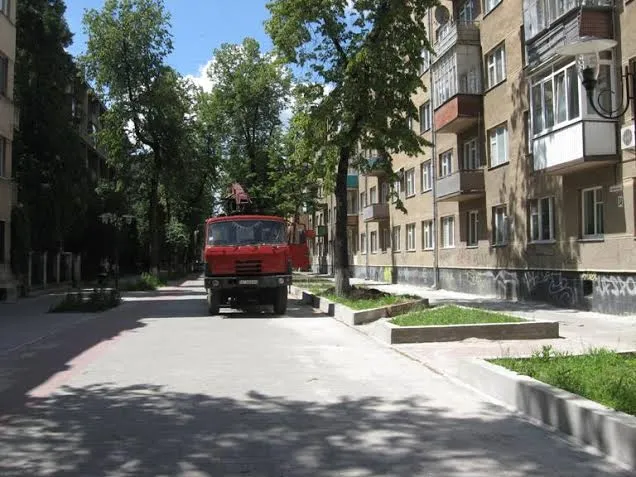 На вулиці Шевченка удобрюють клумби з бур'янами (Фото) — фото 2