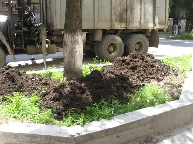 На вулиці Шевченка удобрюють клумби з бур'янами (Фото) — фото 3