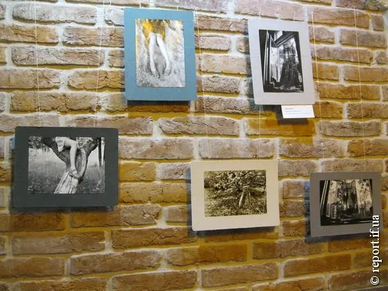 В приміщенні фортечної галереї «Бастіон» відбулося відкриття фотовиставки «Вона» (Фото) — фото 2