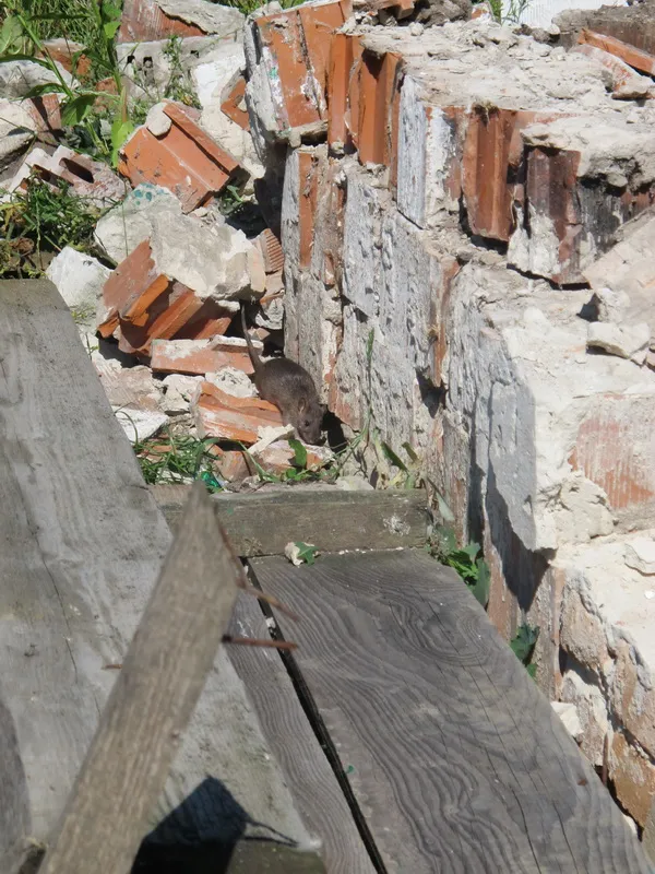 Мешканці взялися за руйнування незаконної загорожі (Фото) — фото 4