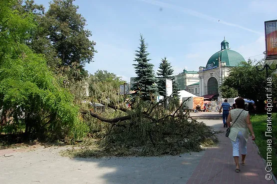 У сквері на Привокзальній з вихідних лежить зламане дерево (Фото) — фото 1