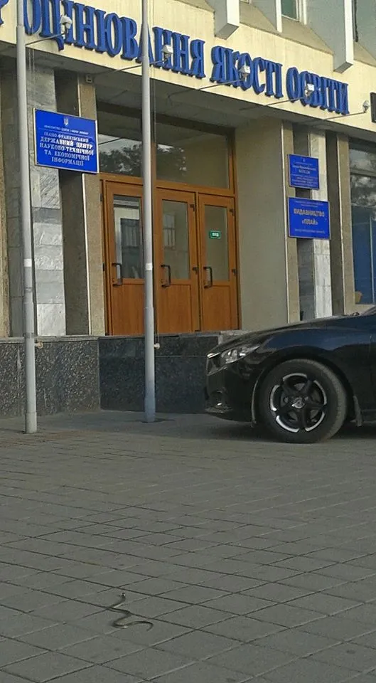У центрі Івано-Франківська влаштував прогулянку справжнісінький вуж (Фото) — фото 1