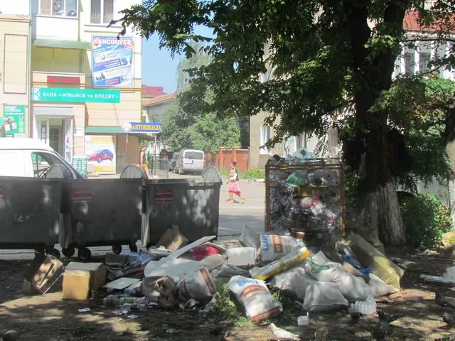 В місті проблеми із вивезенням сміття? (Фоторепортаж) — фото 2