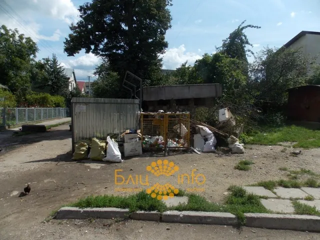 Чи то комунальники «забули» вивезти, чи то франківчани так швидко смітять (Фото) — фото 2