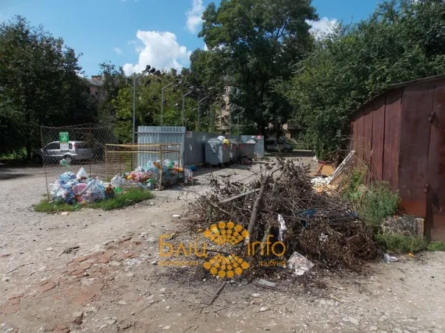 Чи то комунальники «забули» вивезти, чи то франківчани так швидко смітять (Фото) — фото 3
