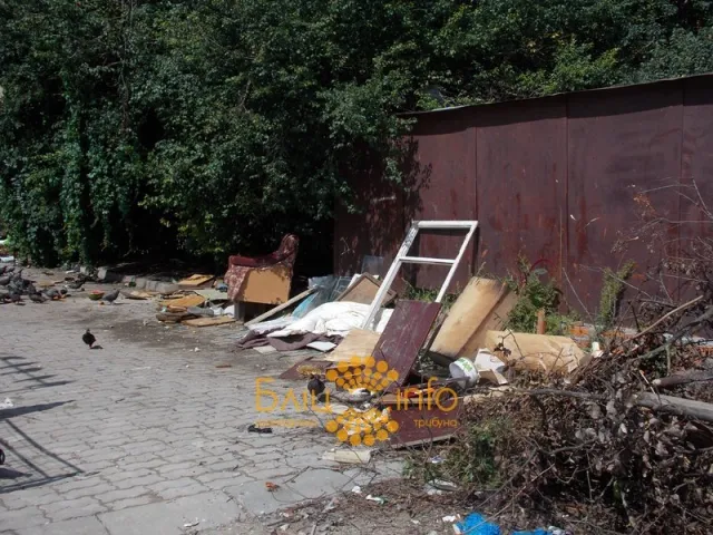 Чи то комунальники «забули» вивезти, чи то франківчани так швидко смітять (Фото) — фото 4