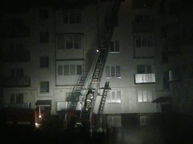 Маштабна пожежа на Прикарпатті. Гасили 76 рятувальників на 15-ох машинах (Фото) + (Відео) — фото 3