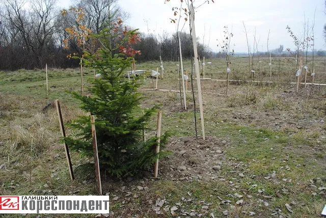 В мікрорайоні Пасічна відбулось урочисте відкриття музею-скверу «Пасічна 1394» (Фото) — фото 2