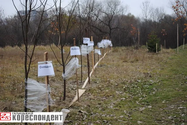 В мікрорайоні Пасічна відбулось урочисте відкриття музею-скверу «Пасічна 1394» (Фото) — фото 5