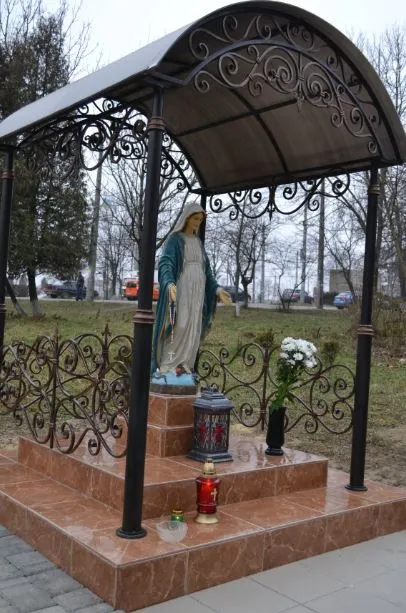 Громаді та місцевим депутатам вдалося захистити місцевий сквер від забудови багатоповерхівками (Фото) — фото 3