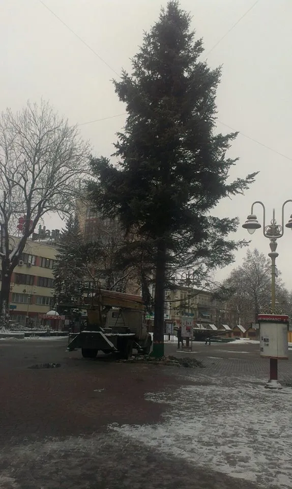 На Вічевому майдані встановили 22-метрову ялинку (Фото) — фото 1