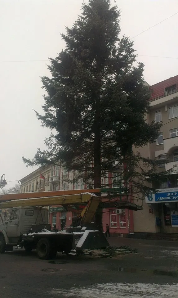 На Вічевому майдані встановили 22-метрову ялинку (Фото) — фото 2