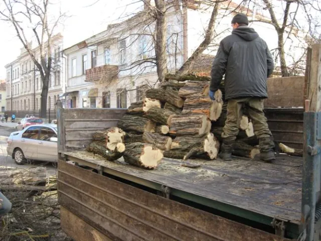 Вулицю Шевченка очищують від дерев (Фото) — фото 1