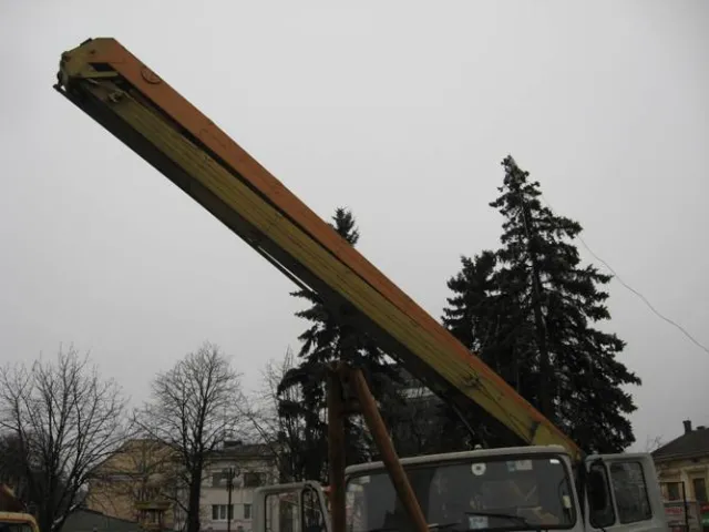 Біля ратуші з ялинок знімають прикраси (Фото) — фото 1