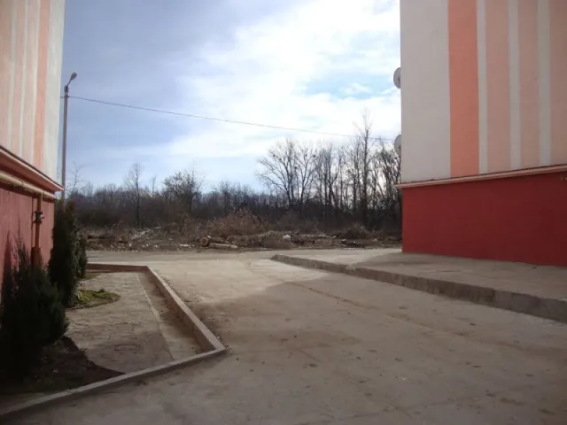 Іванофранківці б'ють на сполох. Над річкою у Пасічній вирубують дерева (Фото) — фото 4