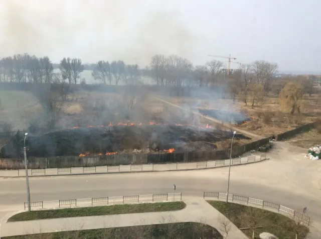 У Івано-Франківську навколо озера горіла територія, яку планують забудувати (фото) — фото 1