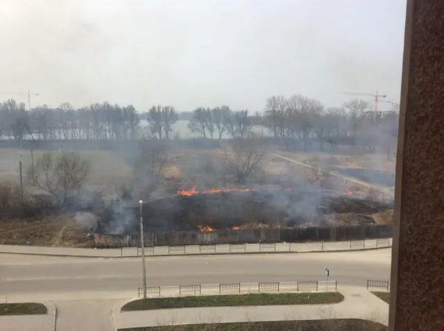 У Івано-Франківську навколо озера горіла територія, яку планують забудувати (фото) — фото 2