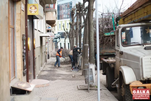 У Івано-Франківську продовжують чистити дерева (фото) — фото 1