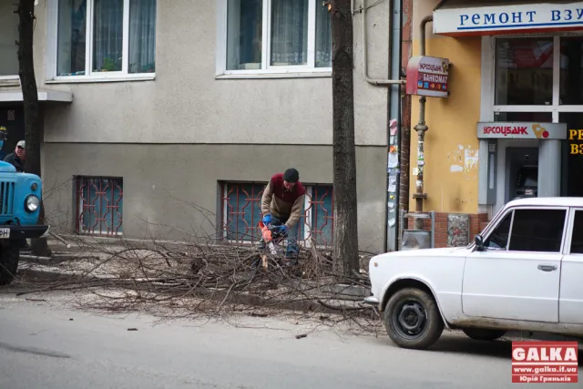 У Івано-Франківську продовжують чистити дерева (фото) — фото 4