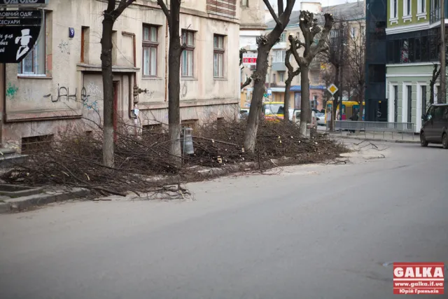 У Івано-Франківську продовжують чистити дерева (фото) — фото 6