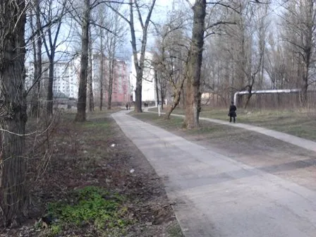 В якому стані знаходяться береги річок Івано-Франківська? (фото) — фото 1