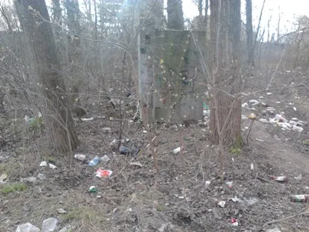 В якому стані знаходяться береги річок Івано-Франківська? (фото) — фото 2