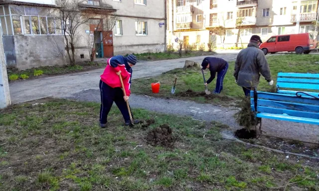 Мешканці Франківська «Чистий четвер» провели із користю, висадили у одному із дворів міста дерева (фото) — фото 2