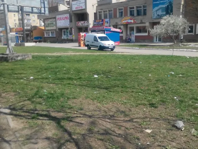 Комунальники прибрали не все місто - на Вовчинецькій вітер "ганяє" сміття (фото) — фото 3