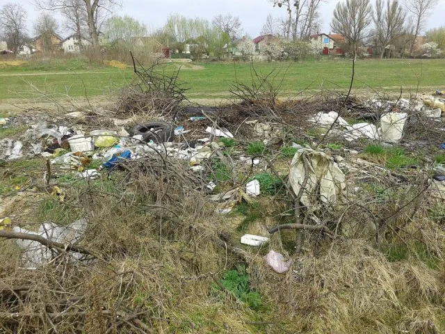 Депутат вражений засміченістю території навколо «Німецького озера» (фото) — фото 1