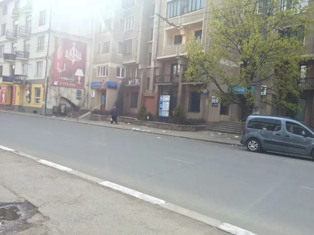 Мешканці Івано-Франківська нарікають на засміченість міста (фото) — фото 1
