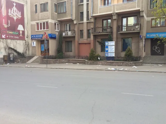 Мешканці Івано-Франківська нарікають на засміченість міста (фото) — фото 3