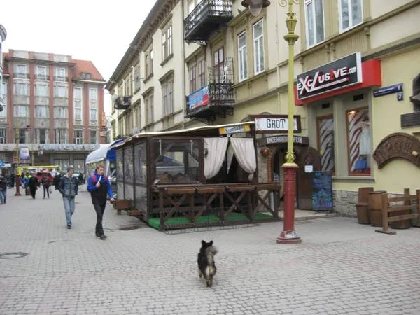 В місті триває встановлення літніх майданчиків (фото) — фото 3