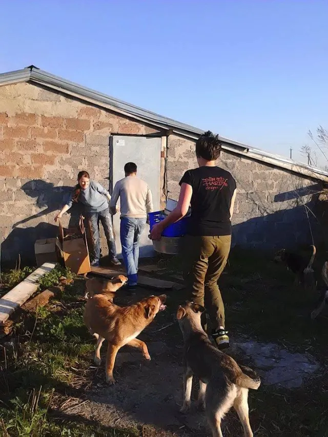 Франківські волонтери почали наводити порядок у «Домі Сірка» (фото) — фото 10