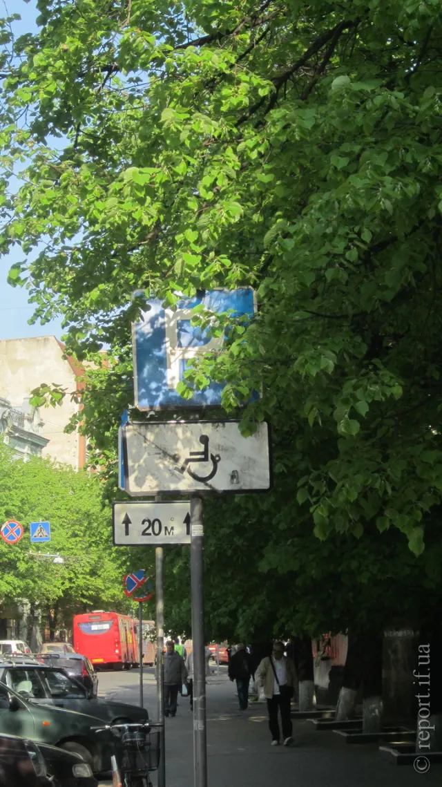 У Франківську через листя дерев не видно дорожніх знаків (фото) — фото 3