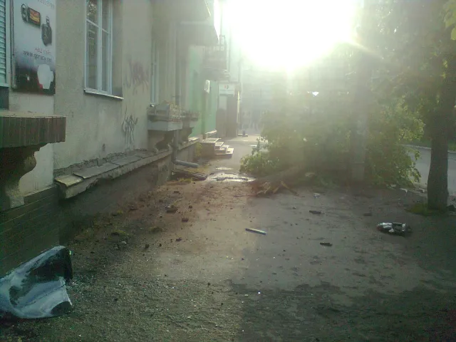 У Франківську машина збила дерево (фото) — фото 1
