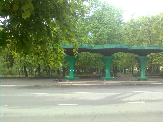 У Франківську машина збила дерево (фото) — фото 2