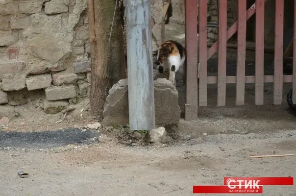 Запах "русского духу" відчутно уже у Франківську (фото) — фото 2